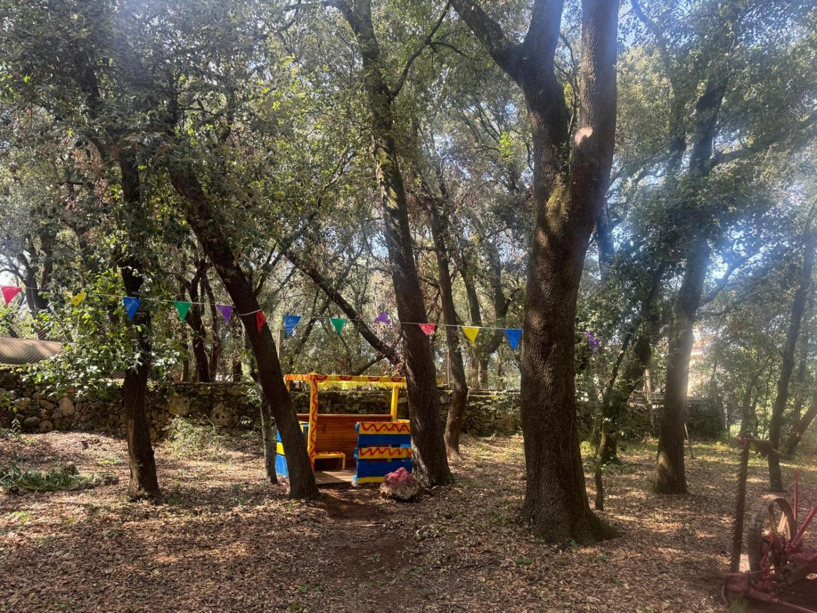 Seriñá Can Resiu מראה חיצוני תמונה